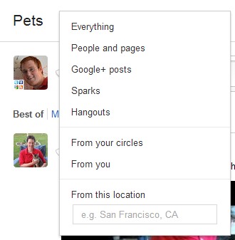 ms google plus search 11