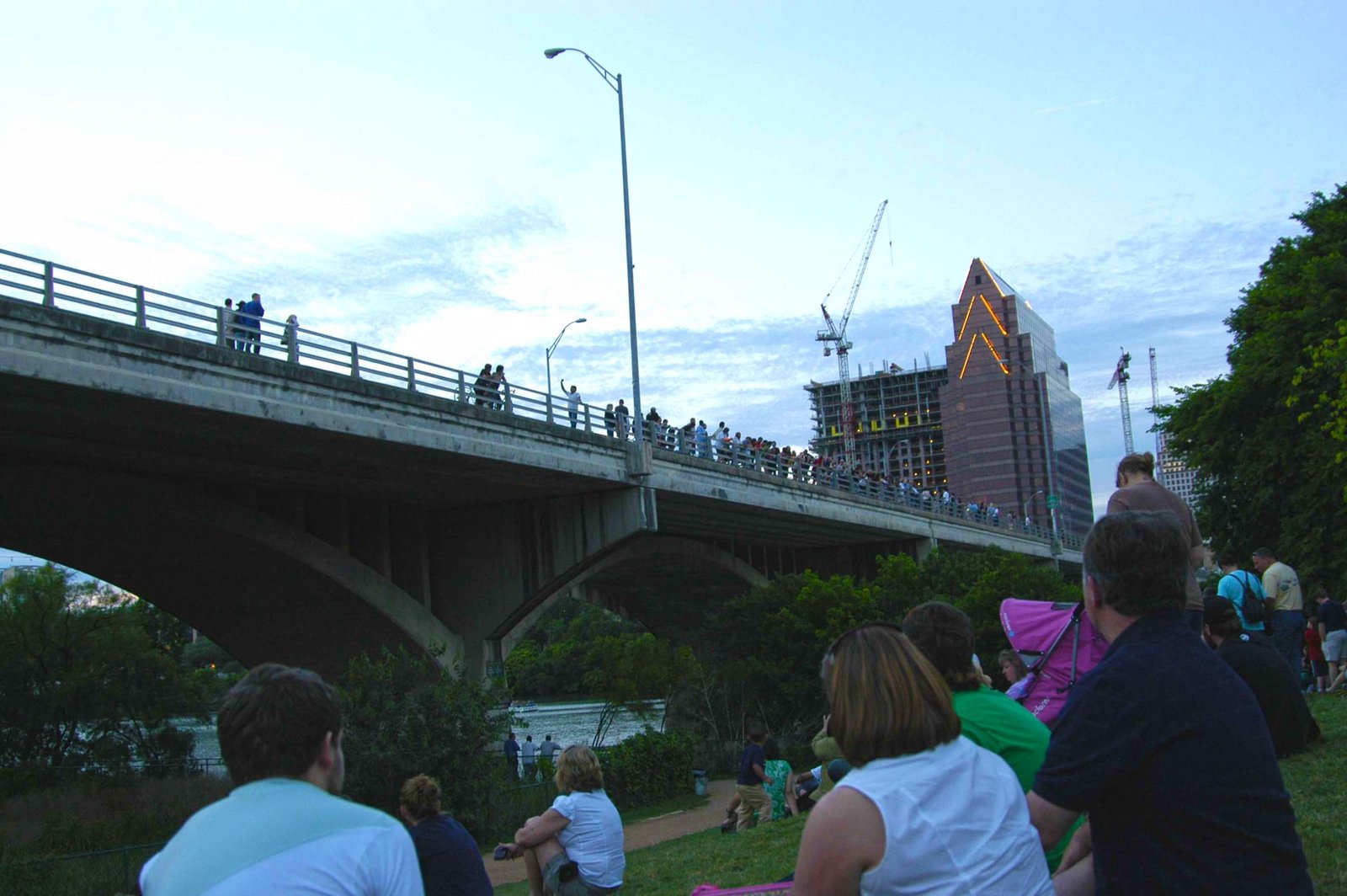 watching bats in austin