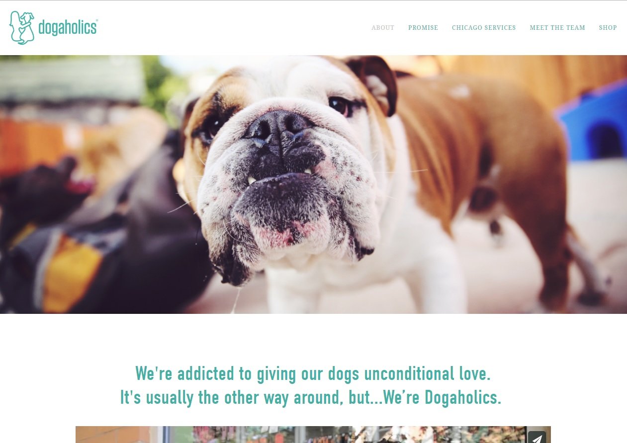 web design of Dog a holics