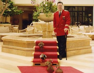 The Peabody Ducks