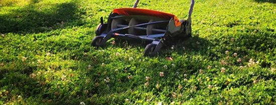 Top 5 Lawn Care Web Designs